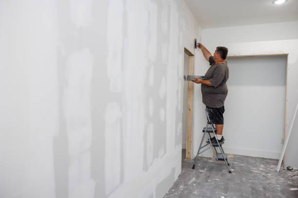 Best Residential Painting  in USA